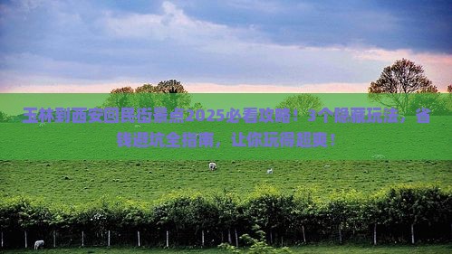 玉林到西安回民街景点