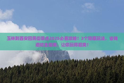 玉林到西安回民街景点