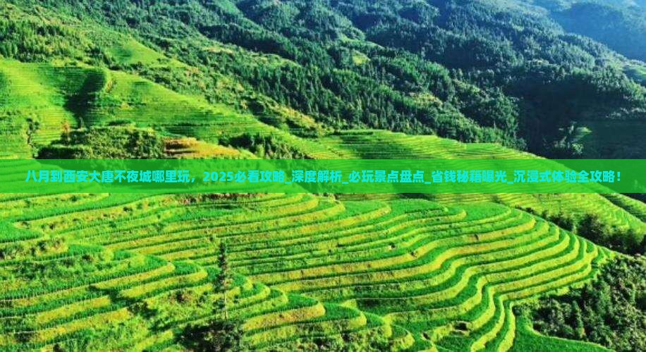 八月到西安大唐不夜城哪里玩