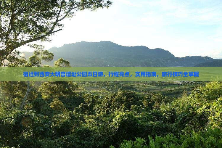 宿迁到西安大明宫国家遗址公园五日游