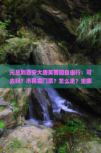元旦到西安大唐芙蓉园自由行