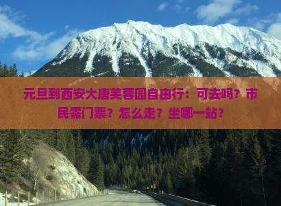 元旦到西安大唐芙蓉园自由行