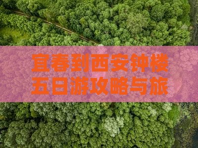 宜春到西安钟楼五日游