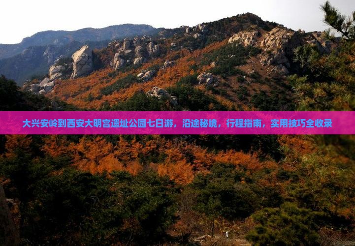 大兴安岭到西安大明宫国家遗址公园七日游