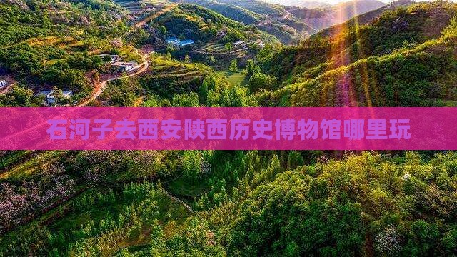 石河子去西安陕西历史博物馆哪里玩