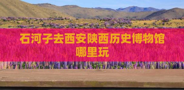 石河子去西安陕西历史博物馆哪里玩