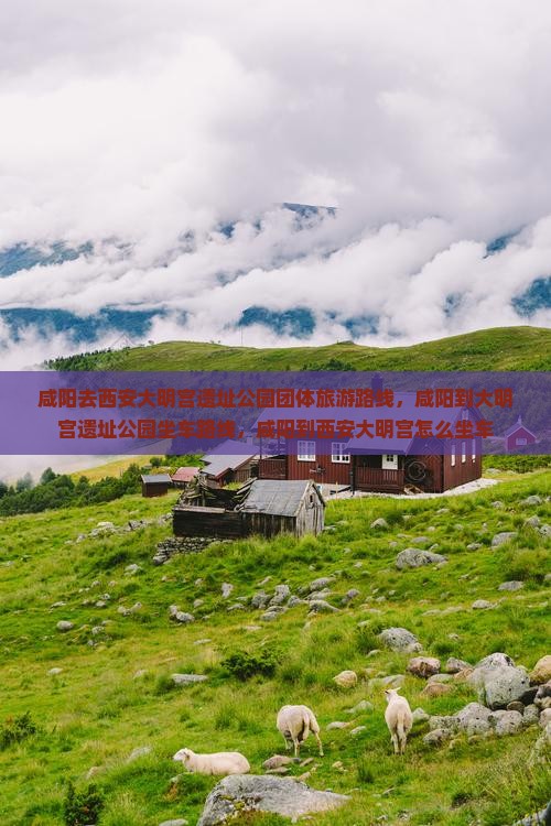 咸阳去西安大明宫国家遗址公园团体旅游