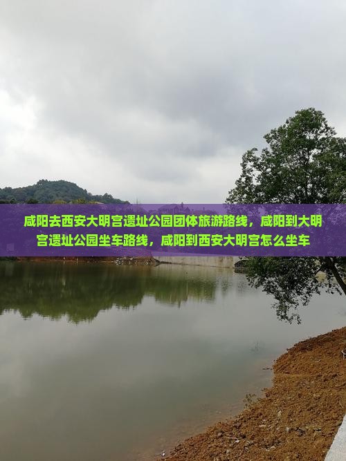 咸阳去西安大明宫国家遗址公园团体旅游
