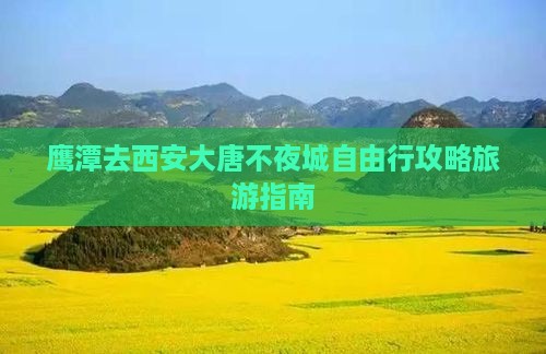 鹰潭去西安大唐不夜城自由行