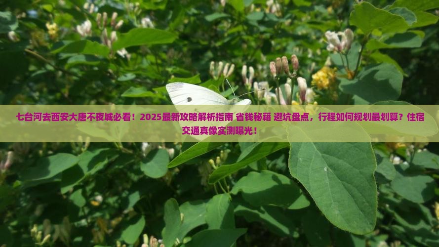 七台河去西安大唐不夜城必去地