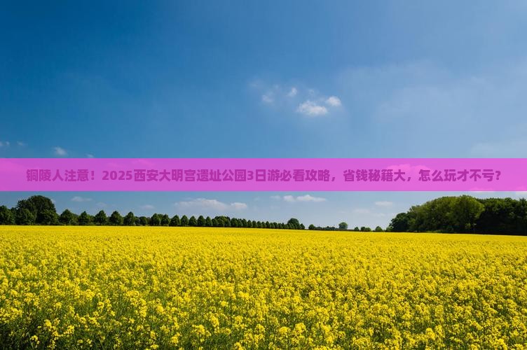 铜陵到西安大明宫国家遗址公园旅行社