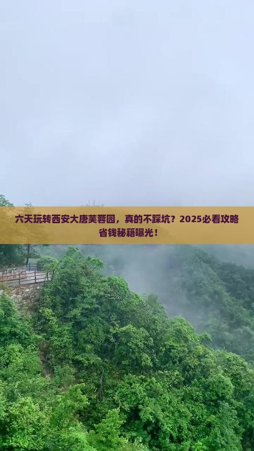 国庆节到西安大唐芙蓉园六日游