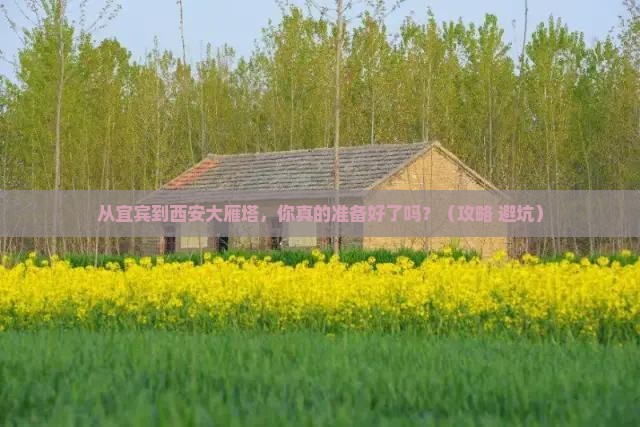 宜宾到西安大雁塔景点