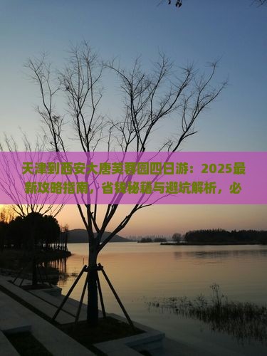 天津到西安大唐芙蓉园四日游