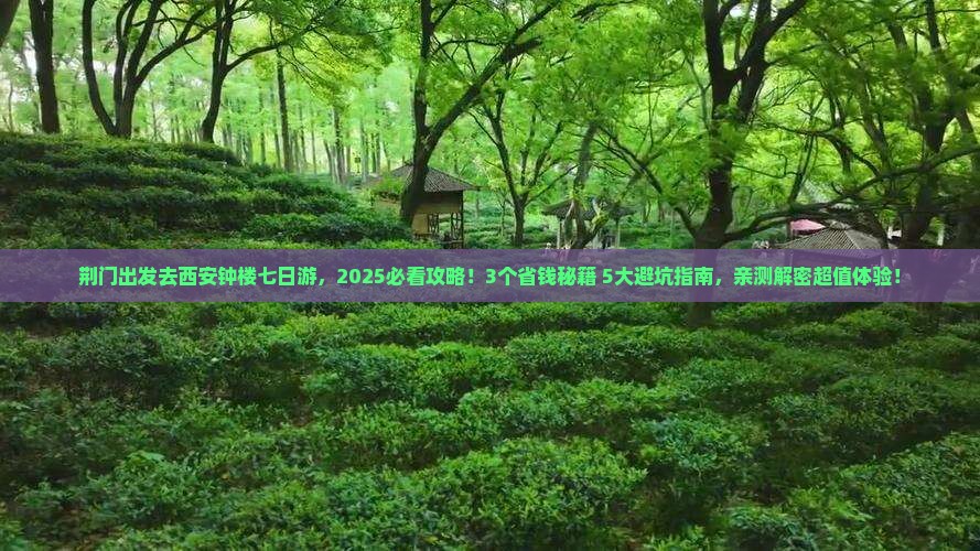 荆门去西安钟楼七日游 荆门去西安钟楼七日游