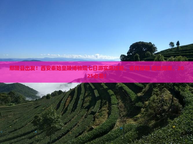 鄢陵县到西安秦始皇帝陵博物院七日游