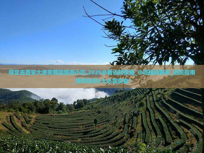 保定去西安大唐芙蓉园旅游小吃