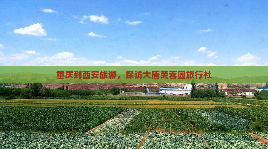 重庆到西安大唐芙蓉园旅行社