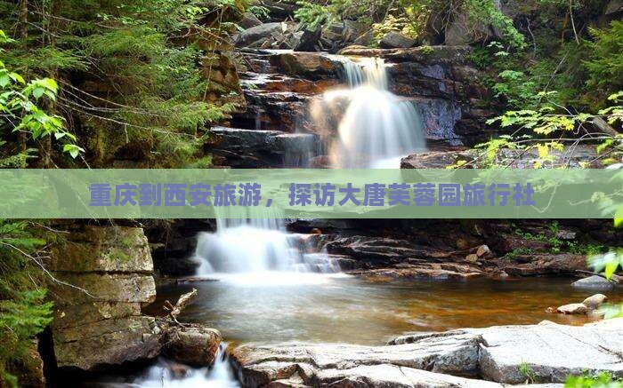 重庆到西安大唐芙蓉园旅行社