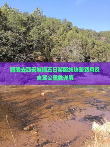 醴陵去西安城墙五日游