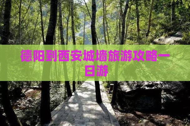 德阳去西安城墙一日游