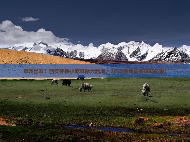 泰州去西安钟楼旅游小吃