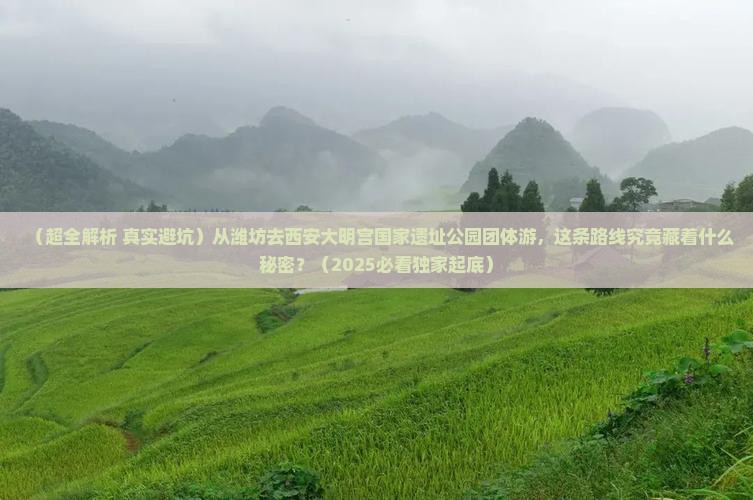 潍坊去西安大明宫国家遗址公园团体旅游