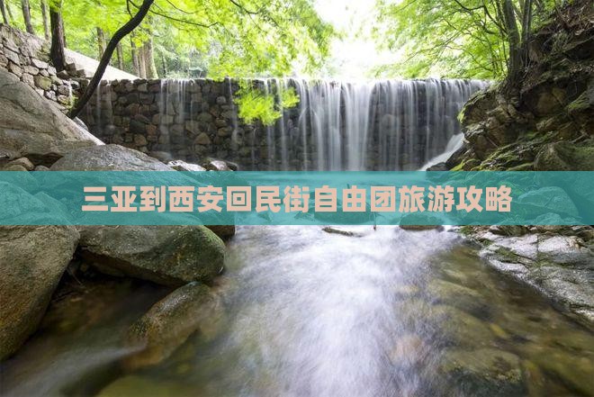 三亚到西安回民街自由团