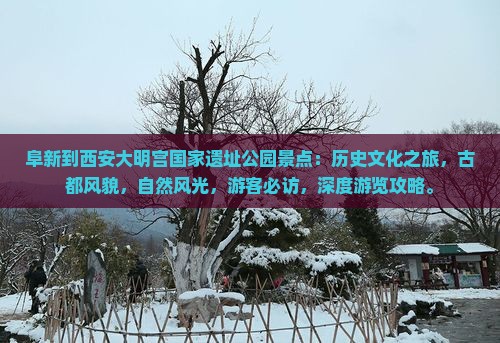 阜新到西安大明宫国家遗址公园景点
