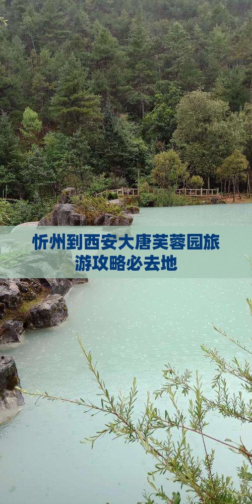 忻州到西安大唐芙蓉园必去地