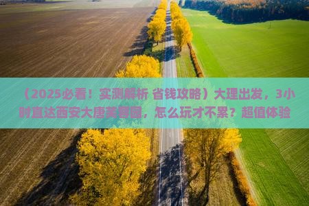 大理到西安大唐芙蓉园一日游