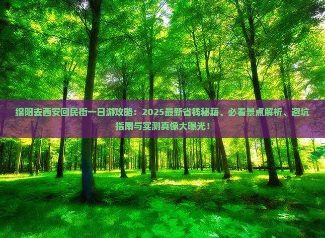 绵阳去西安回民街一日游
