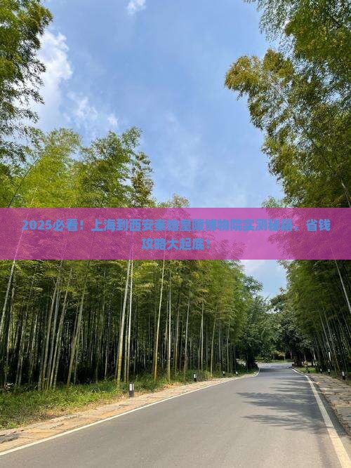 上海到西安秦始皇帝陵博物院个人游