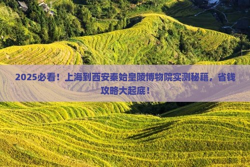 上海到西安秦始皇帝陵博物院个人游