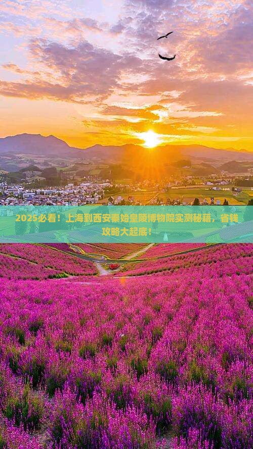上海到西安秦始皇帝陵博物院个人游