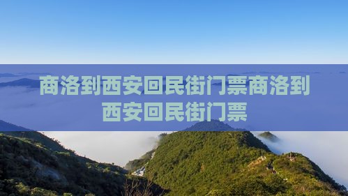 商洛到西安回民街门票