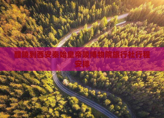 醴陵到西安秦始皇帝陵博物院旅行社