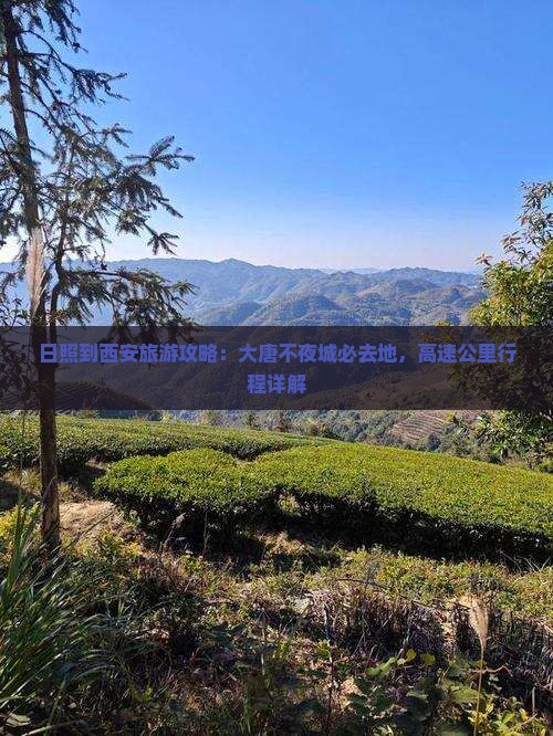 日照去西安大唐不夜城必去地