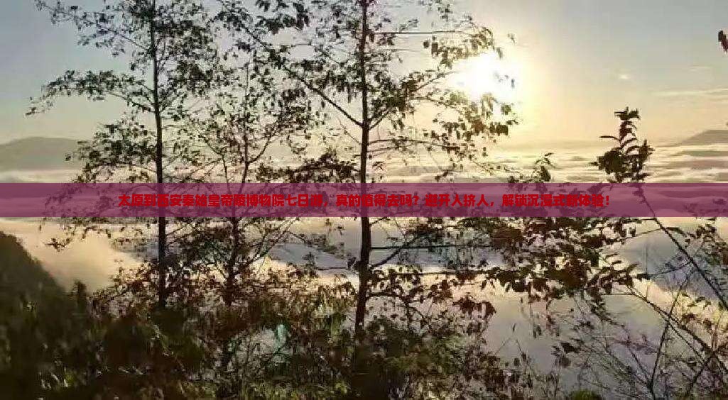 太原到西安秦始皇帝陵博物院七日游