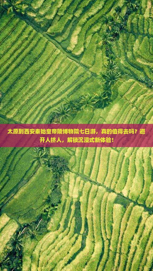 太原到西安秦始皇帝陵博物院七日游