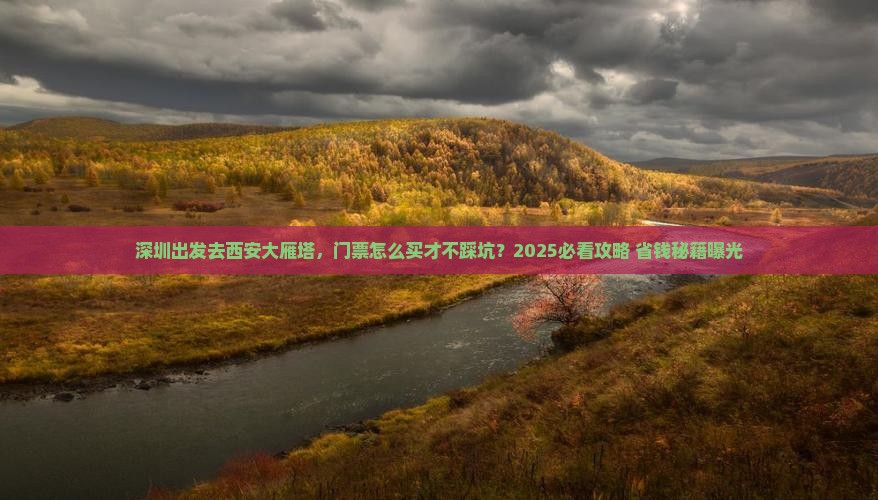 深圳到西安大雁塔门票