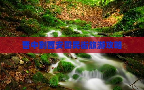 晋中到西安回民街景点 晋中到西安回民街景点