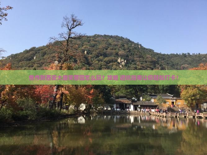 焦作到西安大唐芙蓉园哪里玩