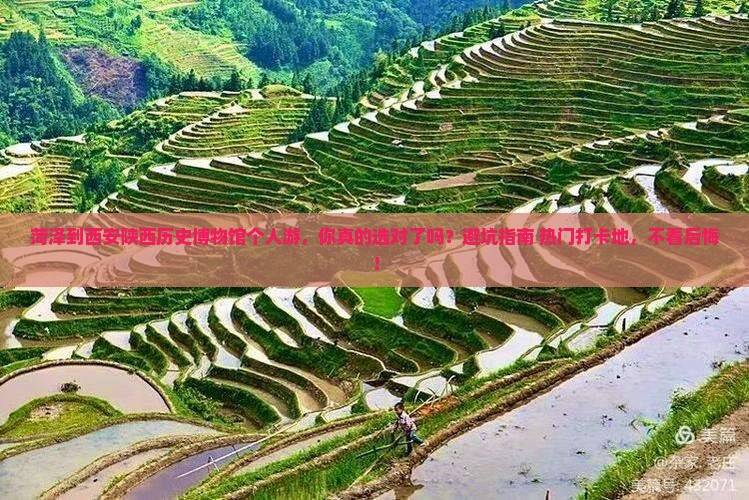 菏泽到西安陕西历史博物馆个人游