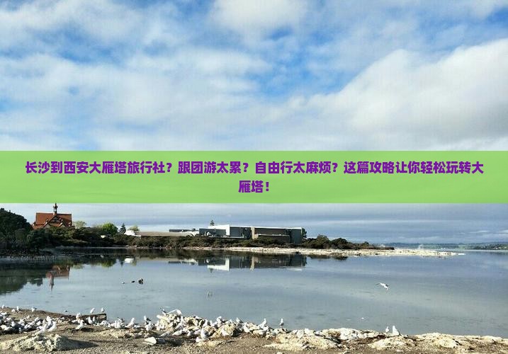 长沙到西安大雁塔旅行社