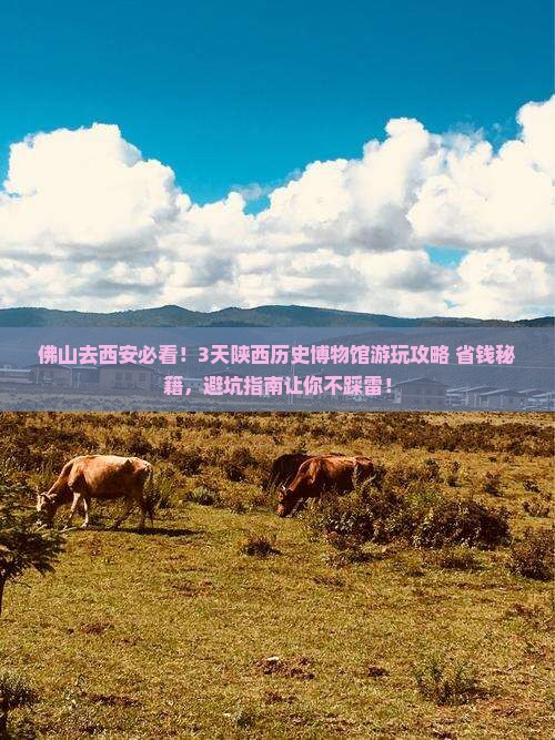 佛山到西安陕西历史博物馆旅游