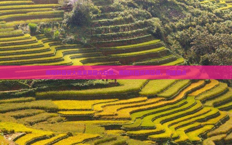 南阳到西安大唐芙蓉园六日游