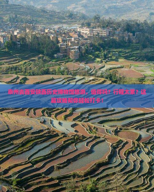 泰州去西安陕西历史博物馆旅游