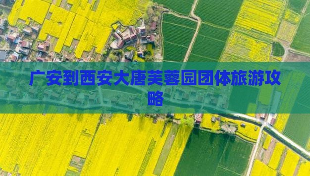 广安到西安大唐芙蓉园团体旅游