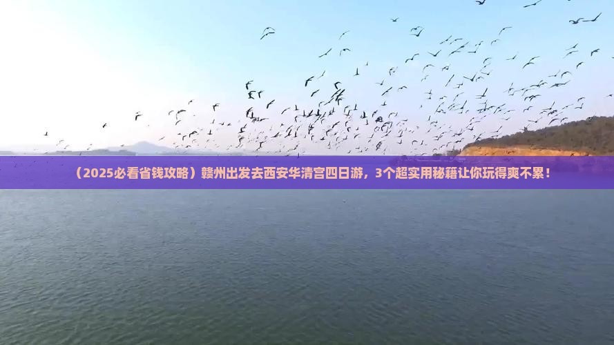 赣州去西安华清宫四日游